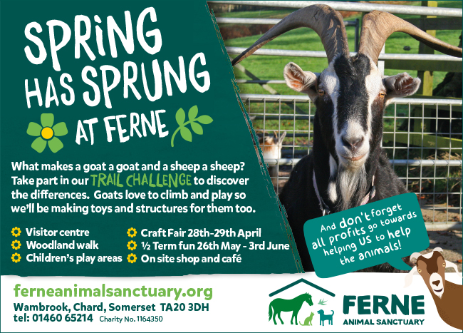 Ferne Spring ad